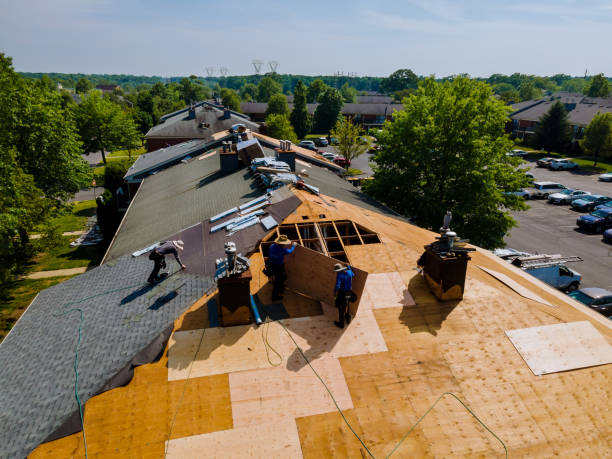 Best Roof Gutter Cleaning  in West Liberty, IA